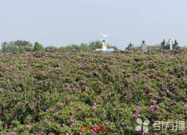 江苏吴江又一新地标试营业 无界美罗小奢中心开业