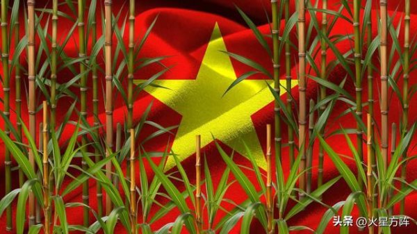 越南终于看懂了：中美摊牌之后，“竹子外交”就是一条死路