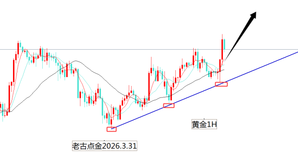 老古点金：黄金4545多
