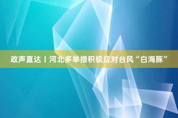 政声直达丨河北多举措积极应对台风“白海豚”