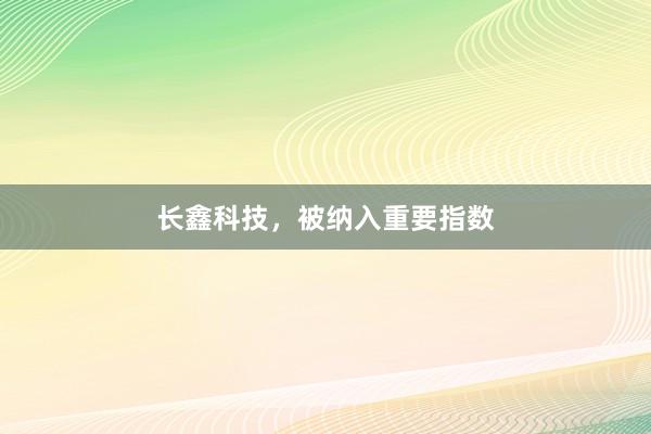 长鑫科技，被纳入重要指数