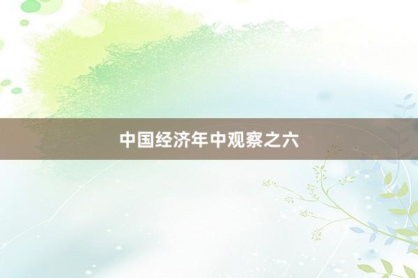 中国经济年中观察之六