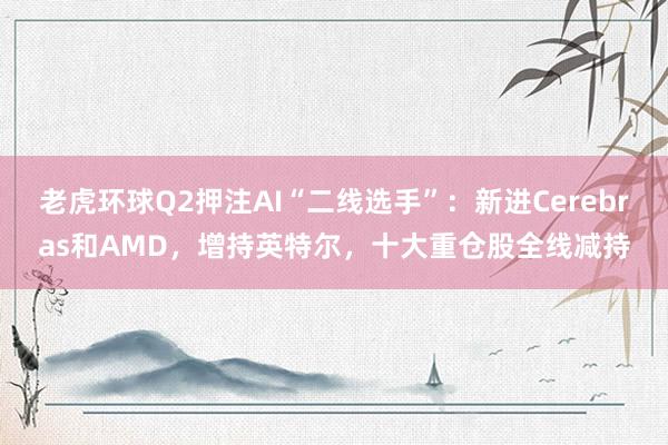 老虎环球Q2押注AI“二线选手”：新进Cerebras和AMD，增持英特尔，十大重仓股全线减持