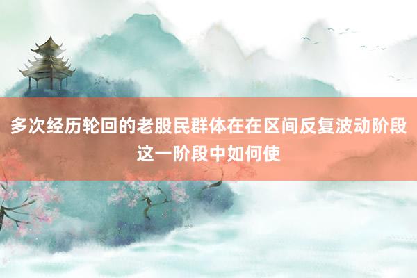 多次经历轮回的老股民群体在在区间反复波动阶段这一阶段中如何使
