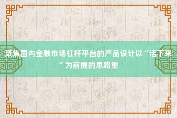 聚焦国内金融市场杠杆平台的产品设计以“活下来”为前提的思路重