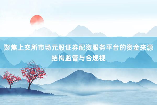 聚焦上交所市场元股证券配资服务平台的资金来源结构监管与合规视