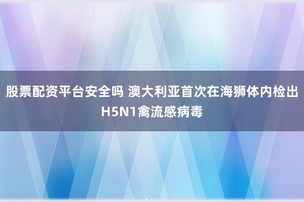 股票配资平台安全吗 澳大利亚首次在海狮体内检出H5N1禽流感病毒