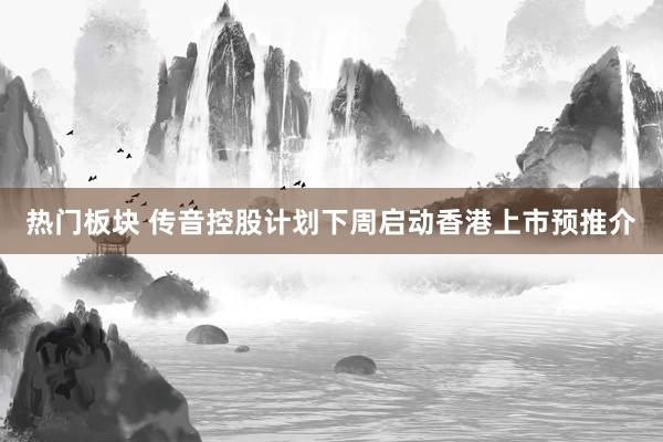 热门板块 传音控股计划下周启动香港上市预推介