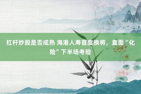 杠杆炒股是否成熟 海港人寿首度换将，直面“化险”下半场考验
