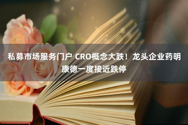 私募市场服务门户 CRO概念大跌！龙头企业药明康德一度接近跌停